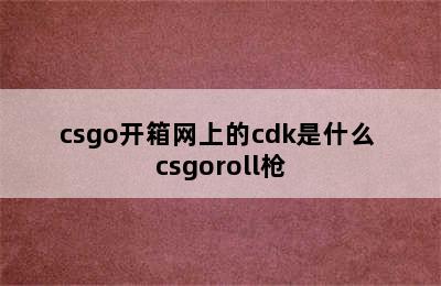 csgo开箱网上的cdk是什么 csgoroll枪